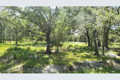 6420 N 47th Street, Tampa, FL 33610 - Photo 11