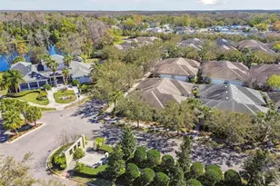 11329 Ravinia Park Blvd, Tampa, FL 33625 - Photo 37