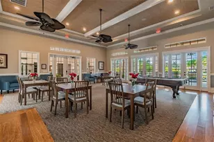 11329 Ravinia Park Blvd, Tampa, FL 33625 - Photo 45