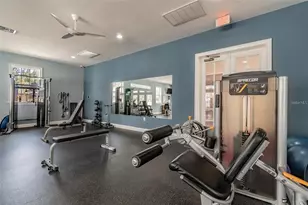 11329 Ravinia Park Blvd, Tampa, FL 33625 - Photo 53