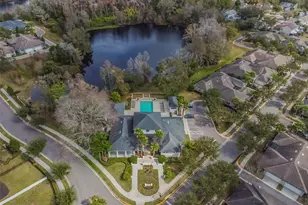 11329 Ravinia Park Blvd, Tampa, FL 33625 - Photo 57