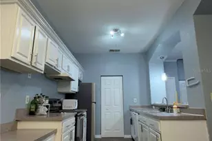 5031 Sunridge Palms Dr, Tampa, FL 33617 - Photo 27