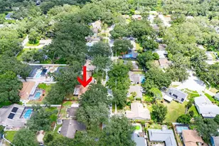 2423 Forrest Crest Cir, Lutz, FL 33549 - Photo 43