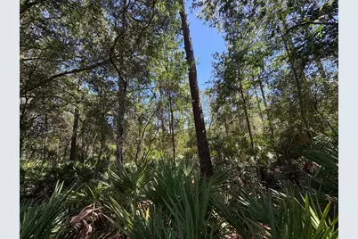 394 N Florene Point, Crystal River, FL 34429 - Photo 21