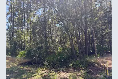 394 N Florene Point, Crystal River, FL 34429 - Photo 3