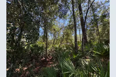 394 N Florene Point, Crystal River, FL 34429 - Photo 17