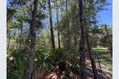 394 N Florene Point, Crystal River, FL 34429 - Photo 23