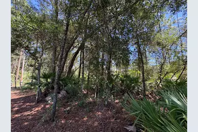 394 N Florene Point, Crystal River, FL 34429 - Photo 25