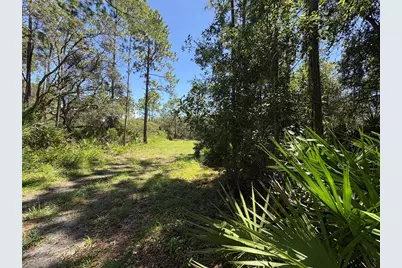 394 N Florene Point, Crystal River, FL 34429 - Photo 13