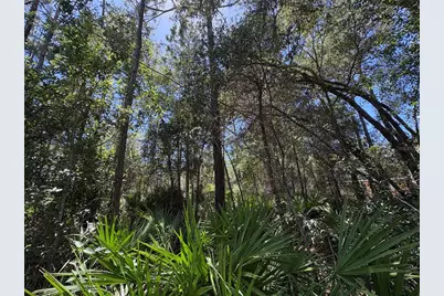 394 N Florene Point, Crystal River, FL 34429 - Photo 5