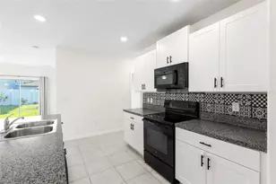 7310 Pearly Everlasting Ave, Tampa, FL 33619 - Photo 11