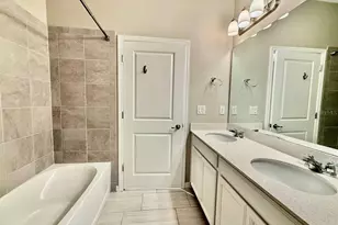 34329 Evergreen Hill Ct, Wesley Chapel, FL 33545 - Photo 31