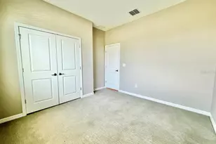 34329 Evergreen Hill Ct, Wesley Chapel, FL 33545 - Photo 29