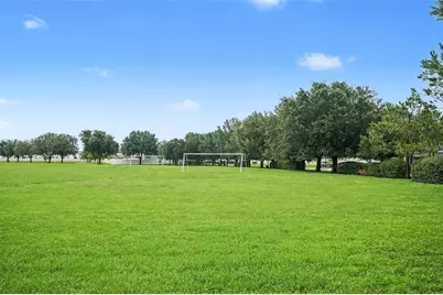 3419 Cardinal Feather Drive, Land O Lakes, FL 34638 - Photo 31