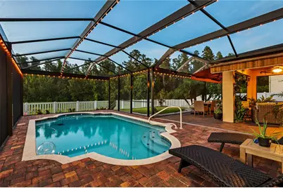 10704 Pegasus Valley Court, Tampa, FL 33647 - Photo 3