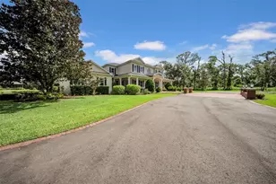 17930 Dorman Rd, Lithia, FL 33547 - Photo 63