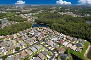 1433 Greely Ct, Wesley Chapel, FL 33543 - Photo 41
