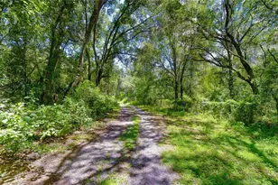 3801 Pate Rd, Zephyrhills, FL 33541 - Photo 1