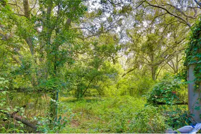 3801 Pate Road, Zephyrhills, FL 33541 - Photo 3