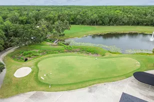 16065 Bella Woods Dr, Tampa, FL 33647 - Photo 93