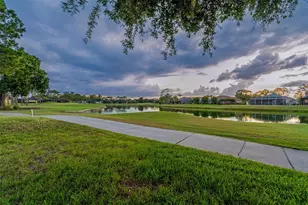3553 Morgan's Bluff Ct, Land O Lakes, FL 34639 - Photo 77