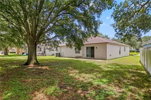 34703 Birchmont Ln, Zephyrhills, FL 33541 - Photo 35