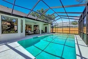 927 Whippoorwill Dr, Palm Harbor, FL 34683 - Photo 59