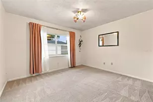 216 Amana Ave, Brandon, FL 33510 - Photo 21