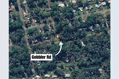 Gobbler Road, Astor, FL 32102 - Photo 9