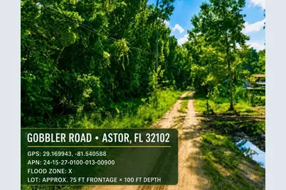 Gobbler Road, Astor, FL 32102 - Photo 1