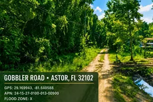 Gobbler Rd, Astor, FL 32102 - Photo 1