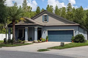 19255 Alexandrea Lee Ct, Land O Lakes, FL 34638 - Photo 1