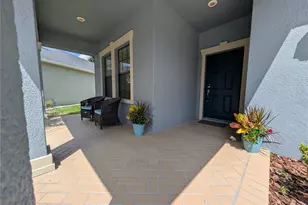 19255 Alexandrea Lee Ct, Land O Lakes, FL 34638 - Photo 3