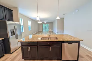19255 Alexandrea Lee Ct, Land O Lakes, FL 34638 - Photo 7