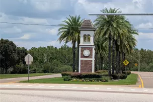 19255 Alexandrea Lee Ct, Land O Lakes, FL 34638 - Photo 37