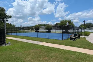 19255 Alexandrea Lee Ct, Land O Lakes, FL 34638 - Photo 41