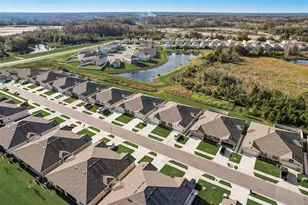 18027 Turning Leaf Cir, Land O Lakes, FL 34638 - Photo 49