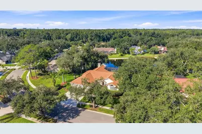 15923 Ellsworth Drive, Tampa, FL 33647 - Photo 57