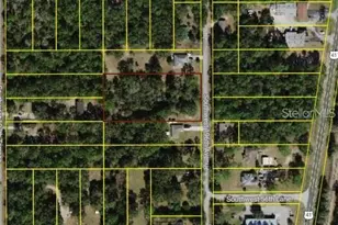 00 SW 196th Ave, Dunnellon, FL 34431 - Photo 1