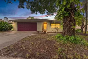 2202 Citrus Hill Ln, Palm Harbor, FL 34683 - Photo 29