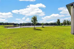 10845 Sundrift Dr, Tampa, FL 33647 - Photo 35