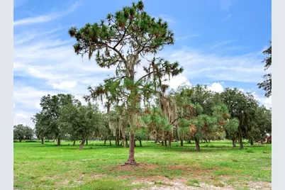 9111 Lake Buffum Road N, Fort Meade, FL 33841 - Photo 55