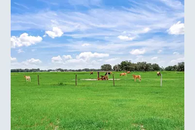 9111 Lake Buffum Road N, Fort Meade, FL 33841 - Photo 47