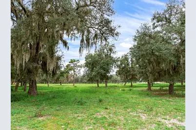 9111 Lake Buffum Road N, Fort Meade, FL 33841 - Photo 59