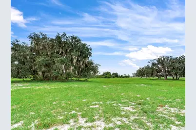 9111 Lake Buffum Road N, Fort Meade, FL 33841 - Photo 51