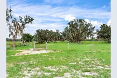 9111 Lake Buffum Road N, Fort Meade, FL 33841 - Photo 63