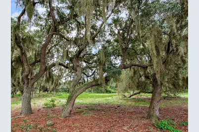 9111 Lake Buffum Road N, Fort Meade, FL 33841 - Photo 57