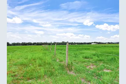 9111 Lake Buffum Road N, Fort Meade, FL 33841 - Photo 61