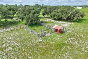 9111 Lake Buffum Rd N, Fort Meade, FL 33841 - Photo 41
