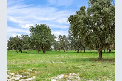 9111 Lake Buffum Road N, Fort Meade, FL 33841 - Photo 47